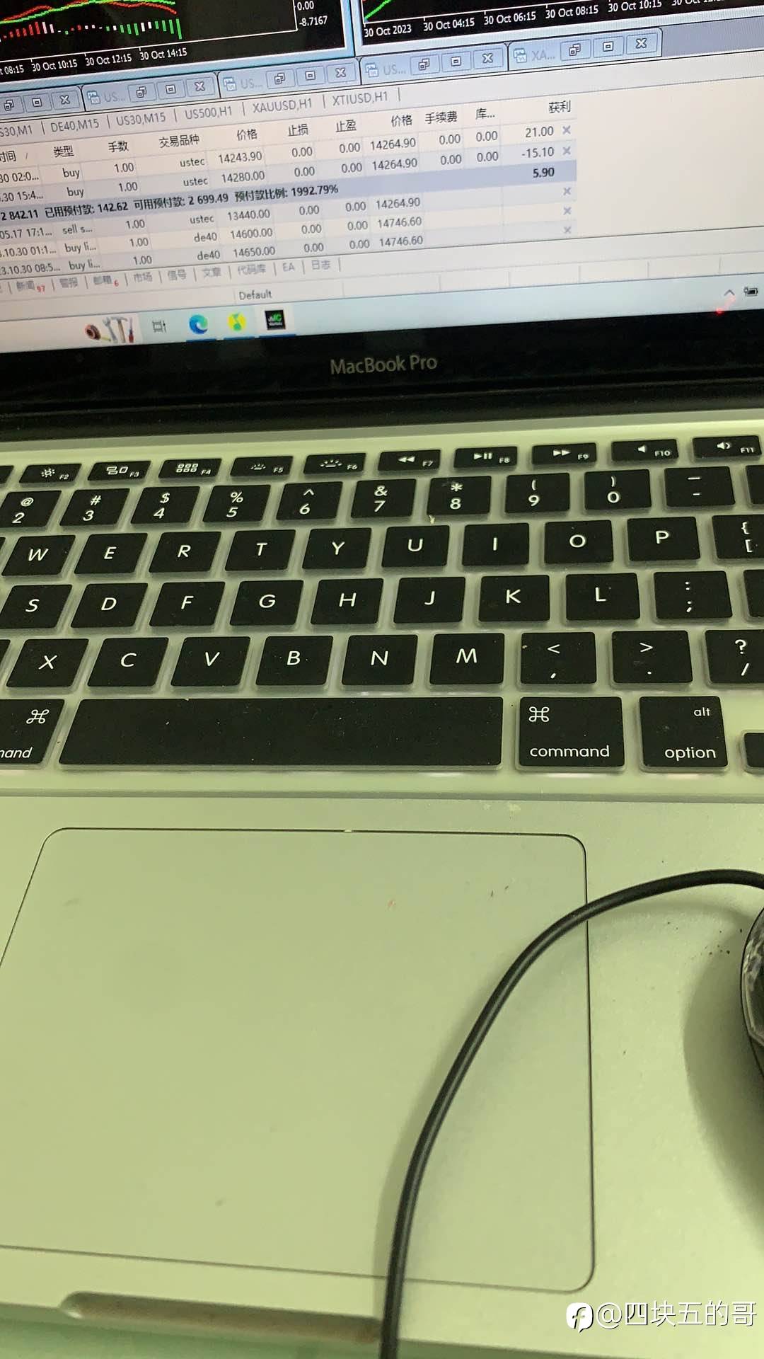 feed-image-1