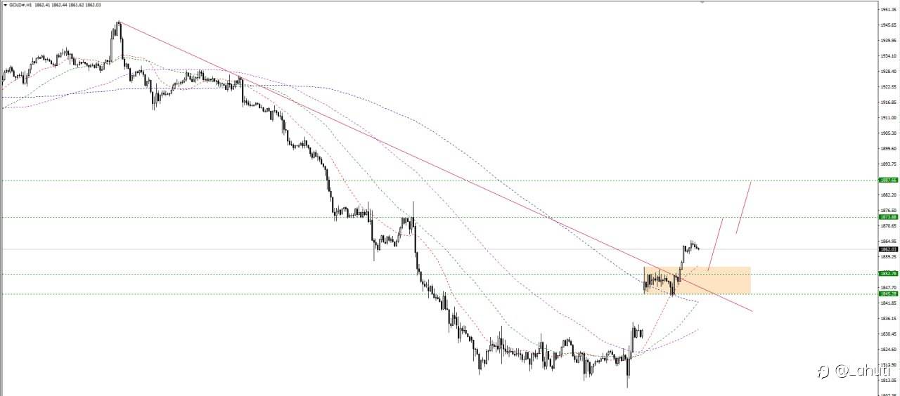 GOLD 10/10/23