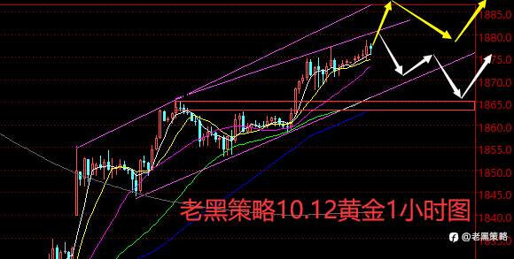 老黑策略：​10.12外汇、黄金、原油分析策略