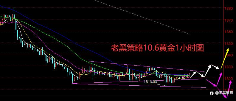 老黑策略：10.6外汇、黄金、原油分析策略