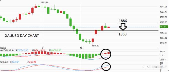 美国9月CPI超预期增长！黄金如何布局？
