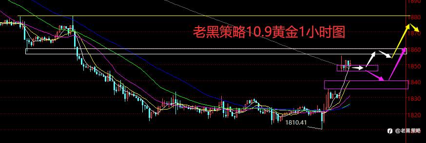 老黑策略：10.9外汇、黄金、原油分析策略