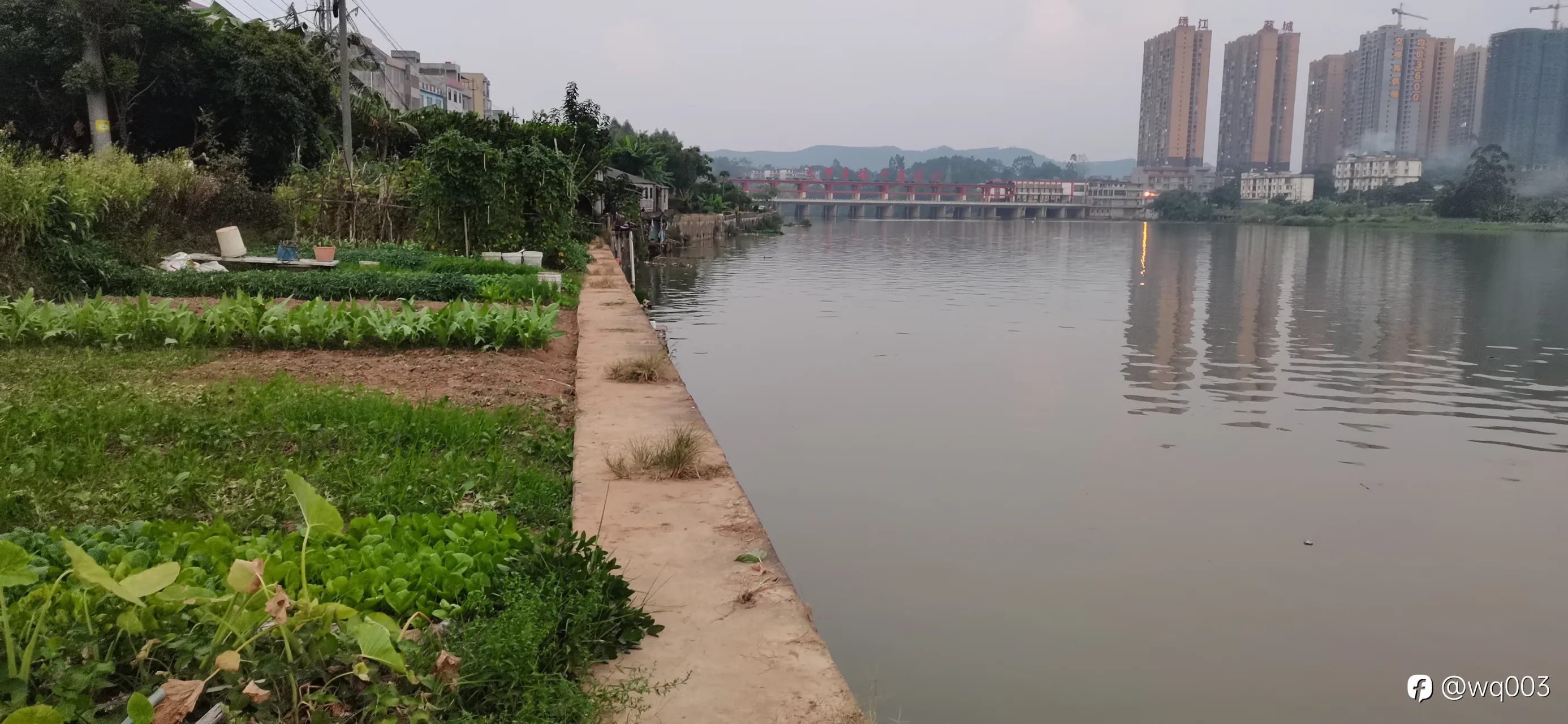 相信相信的力量，胜过所有