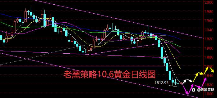 老黑策略：10.6外汇、黄金、原油分析策略
