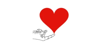 feed image