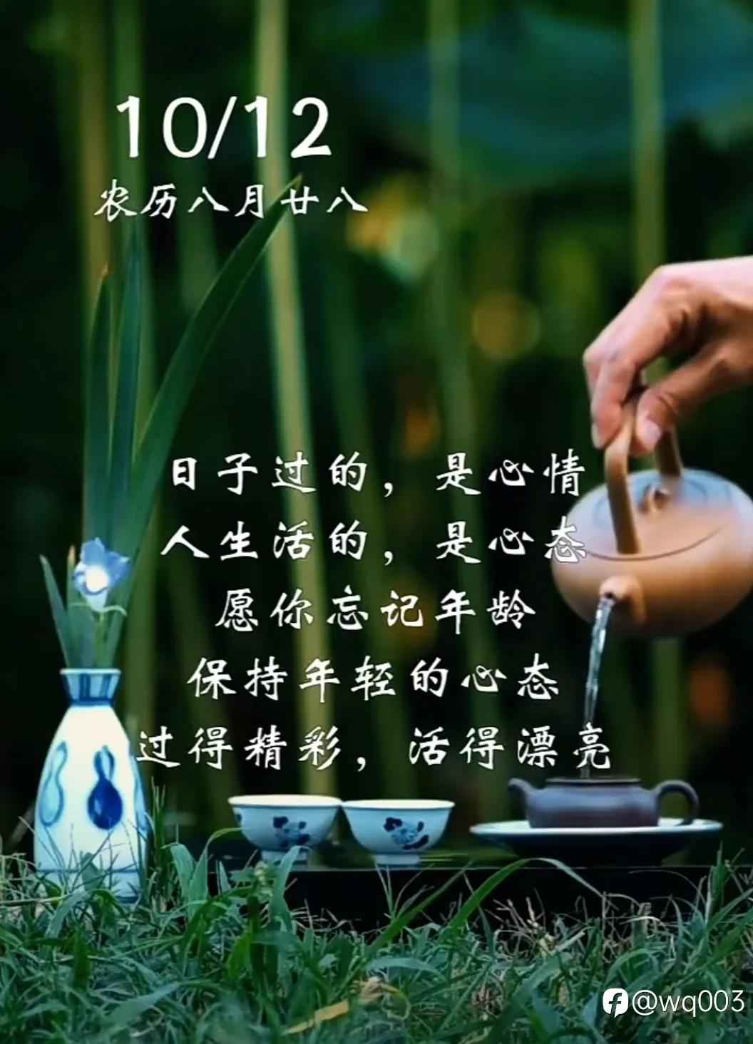 feed image