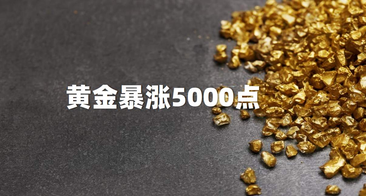 黄金疯狂暴涨5000点，白银迎来千点大反弹！