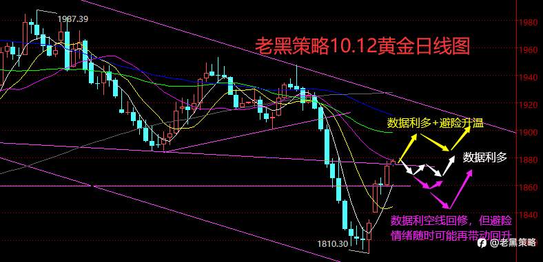 老黑策略：​10.12外汇、黄金、原油分析策略