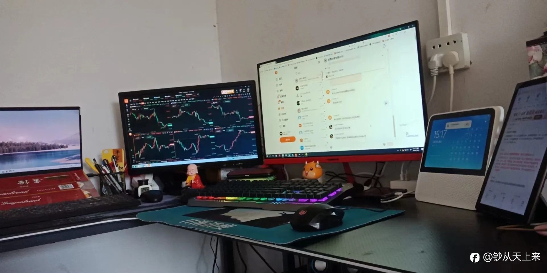 feed image