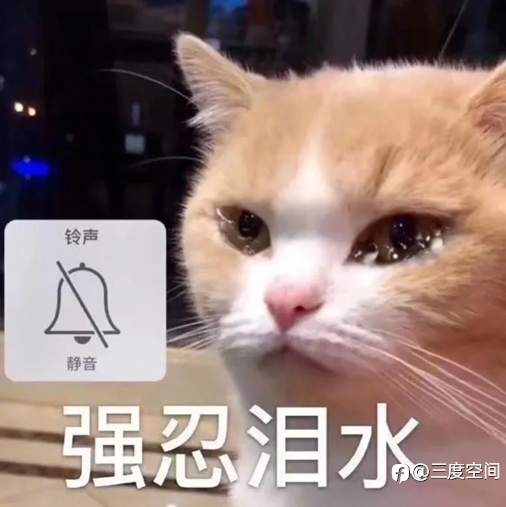 连续三届交易大赛的重量组冠军,为何销声匿迹了?