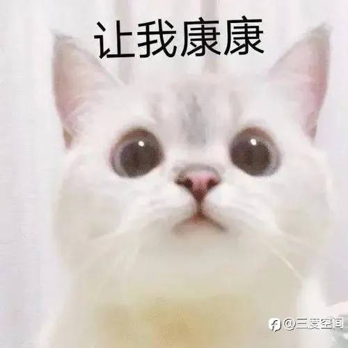 连续三届交易大赛的重量组冠军,为何销声匿迹了?