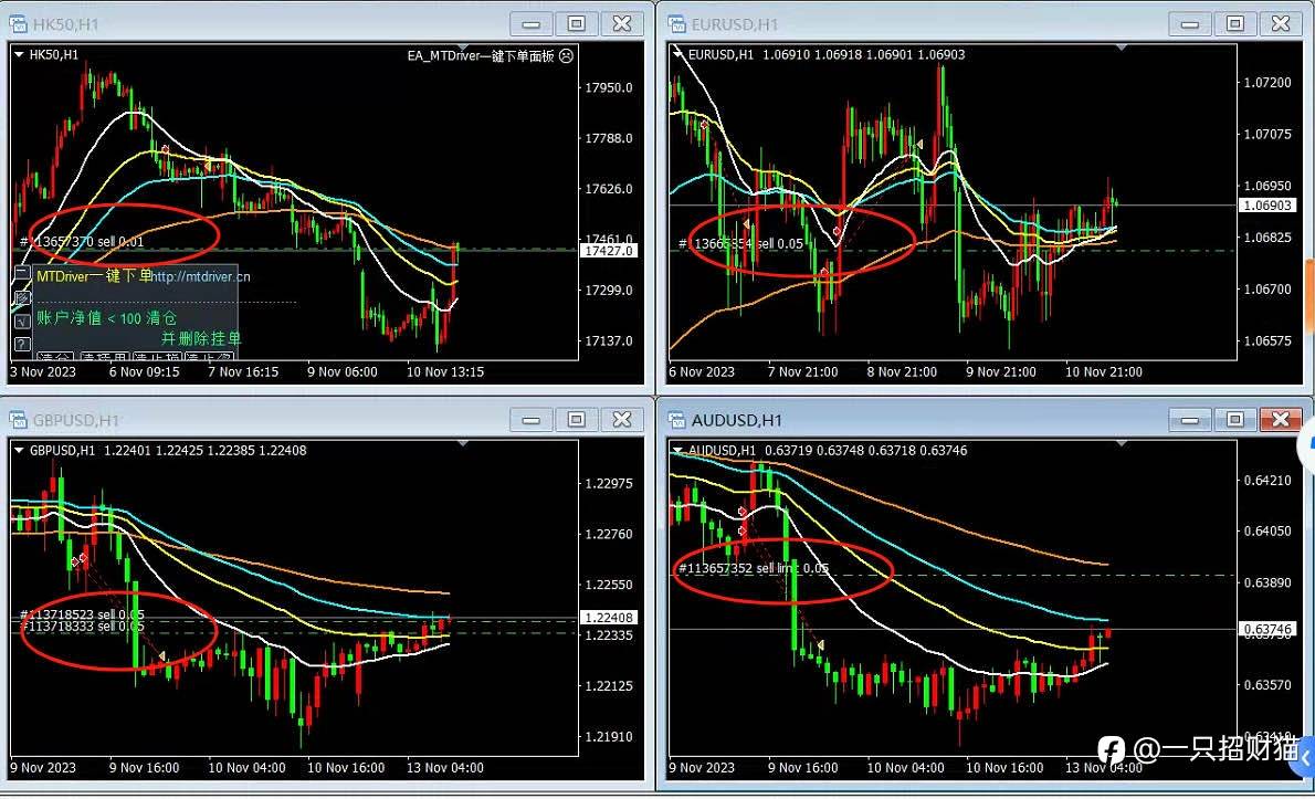 feed-image-0