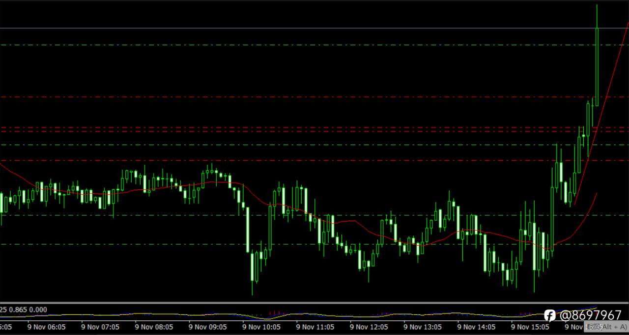 feed-image-0