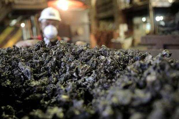 Pam Mineral (NICL) Tebar Dividen Interim Rp42,54 Miliar, Berikut Jadwalnya