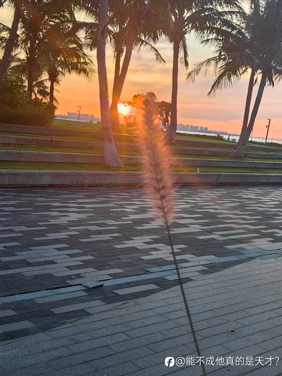 feed image