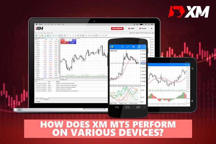 XM MT5 在各种设备中有哪些功能？