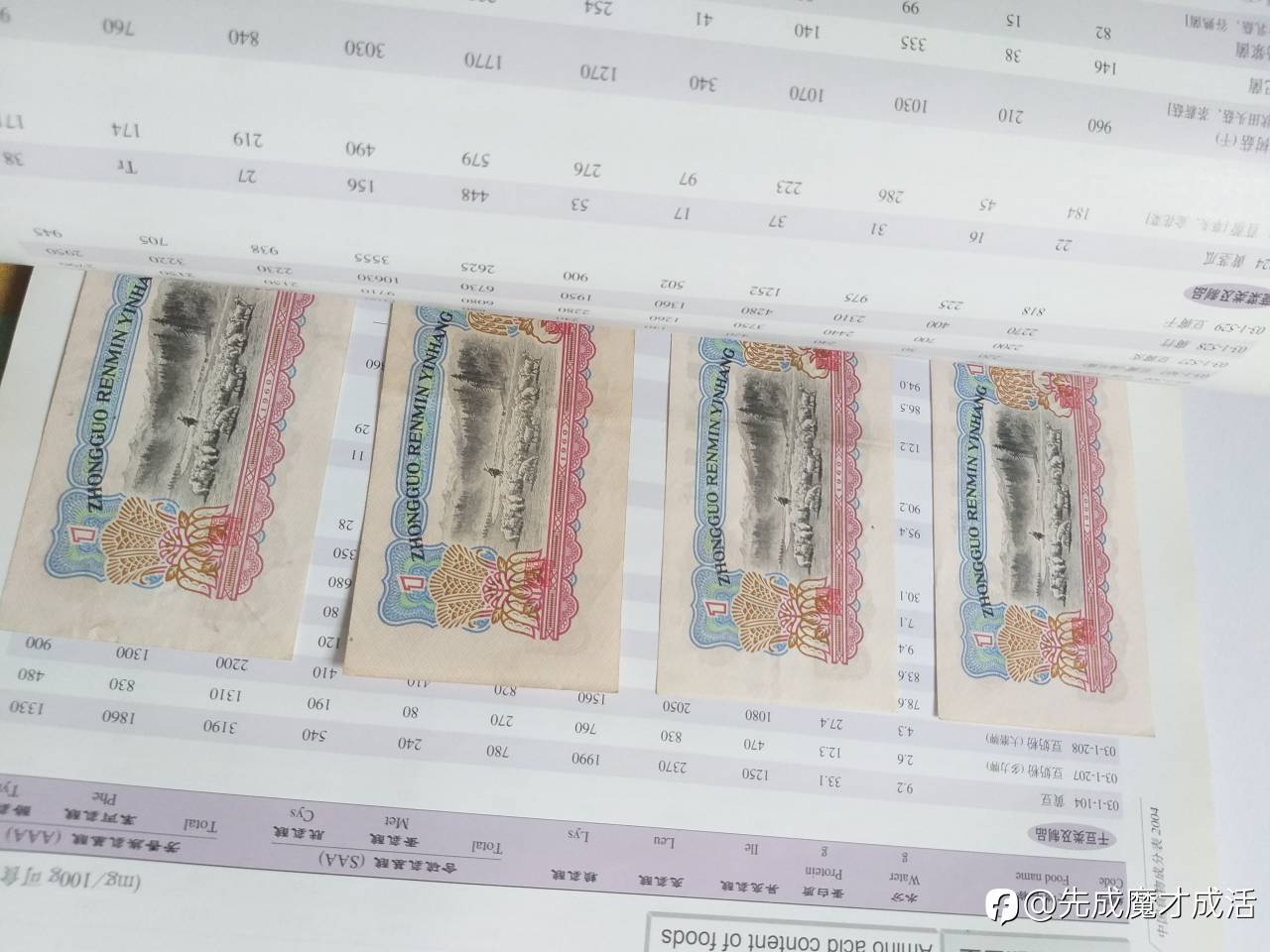 清仓止损不爆仓