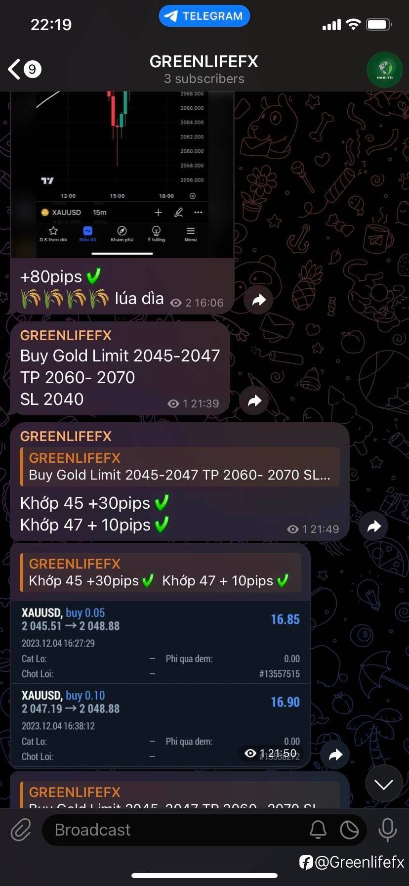 feed-image-1