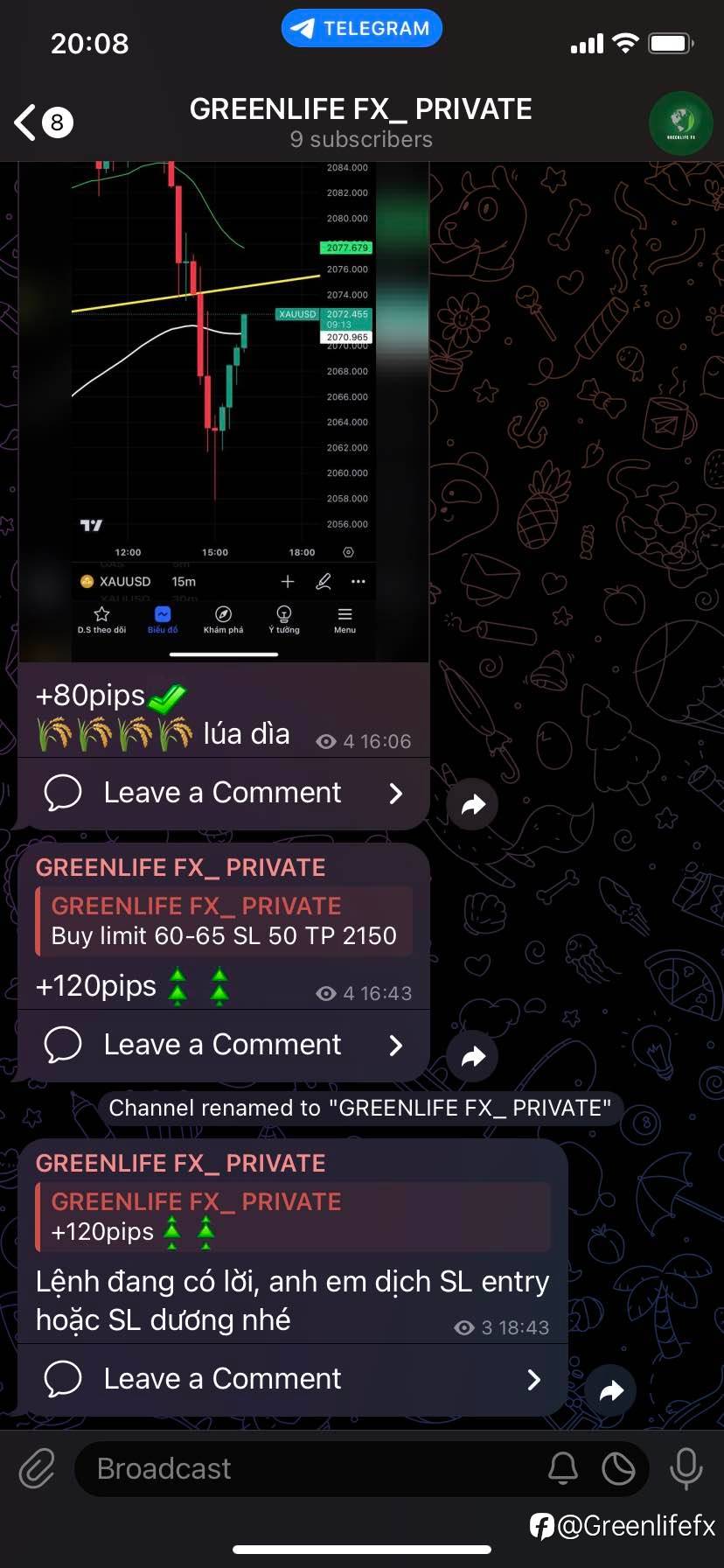 feed-image-1