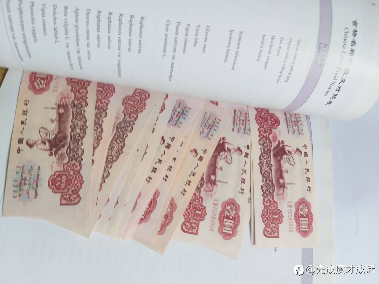 清仓止损不爆仓