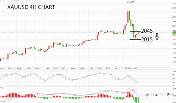 feed-image-0