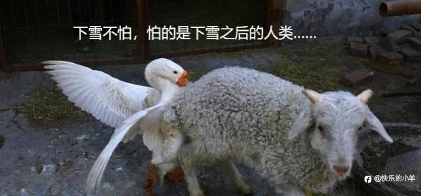feed-image-0