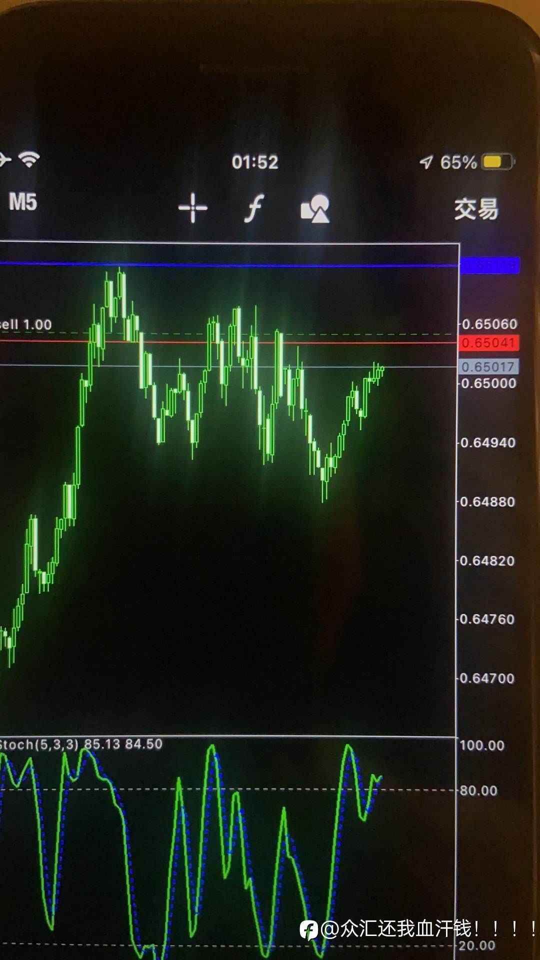 feed-image-1