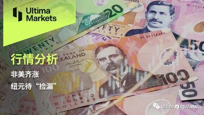 非美齐涨，纽元待 “捡漏”
