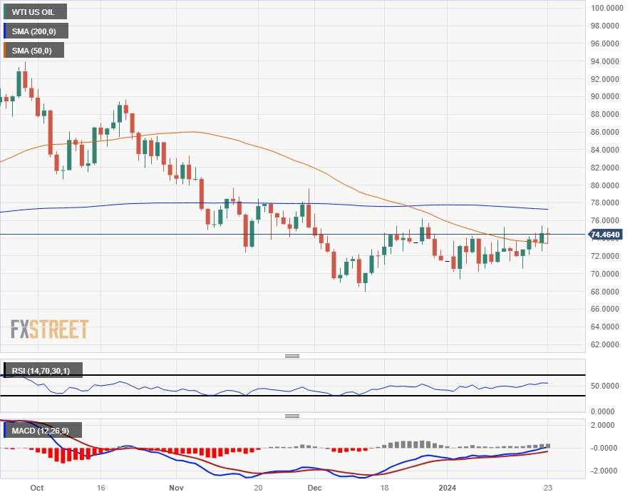 Crude Oil circles between key levels amidst market churn, WTI cycles around $74.50