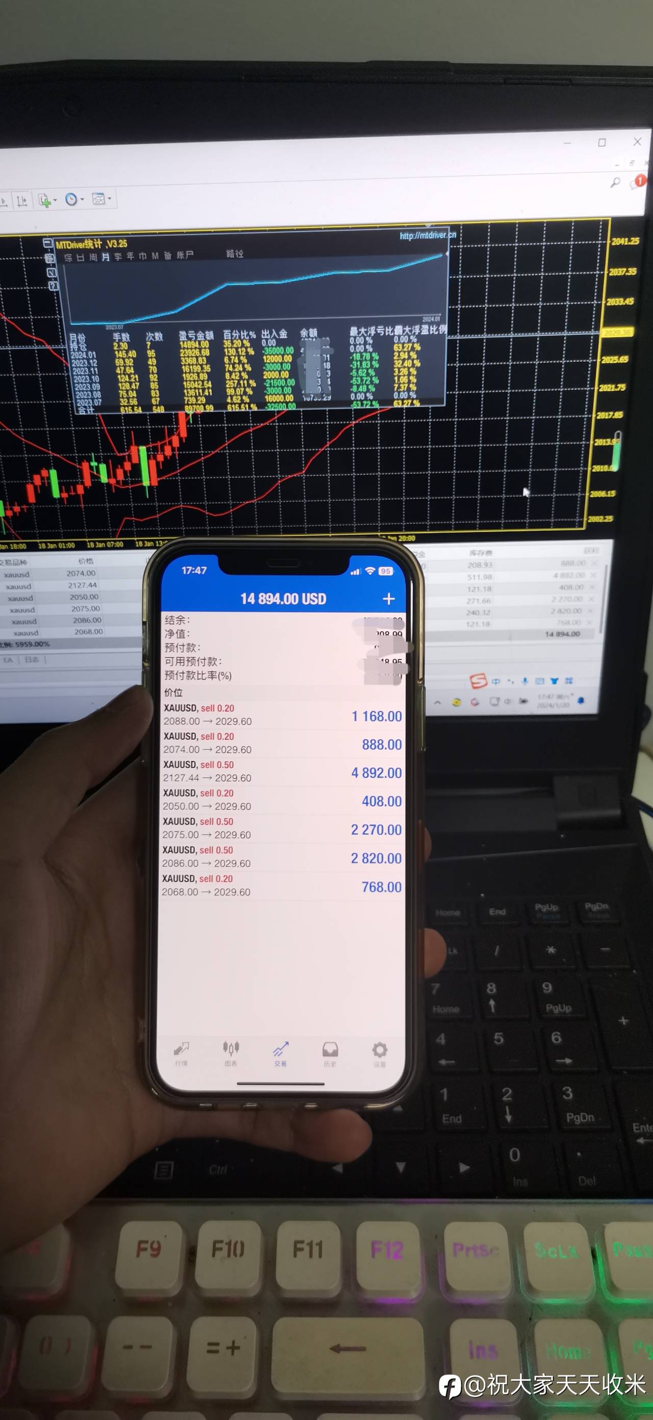 feed-image-1
