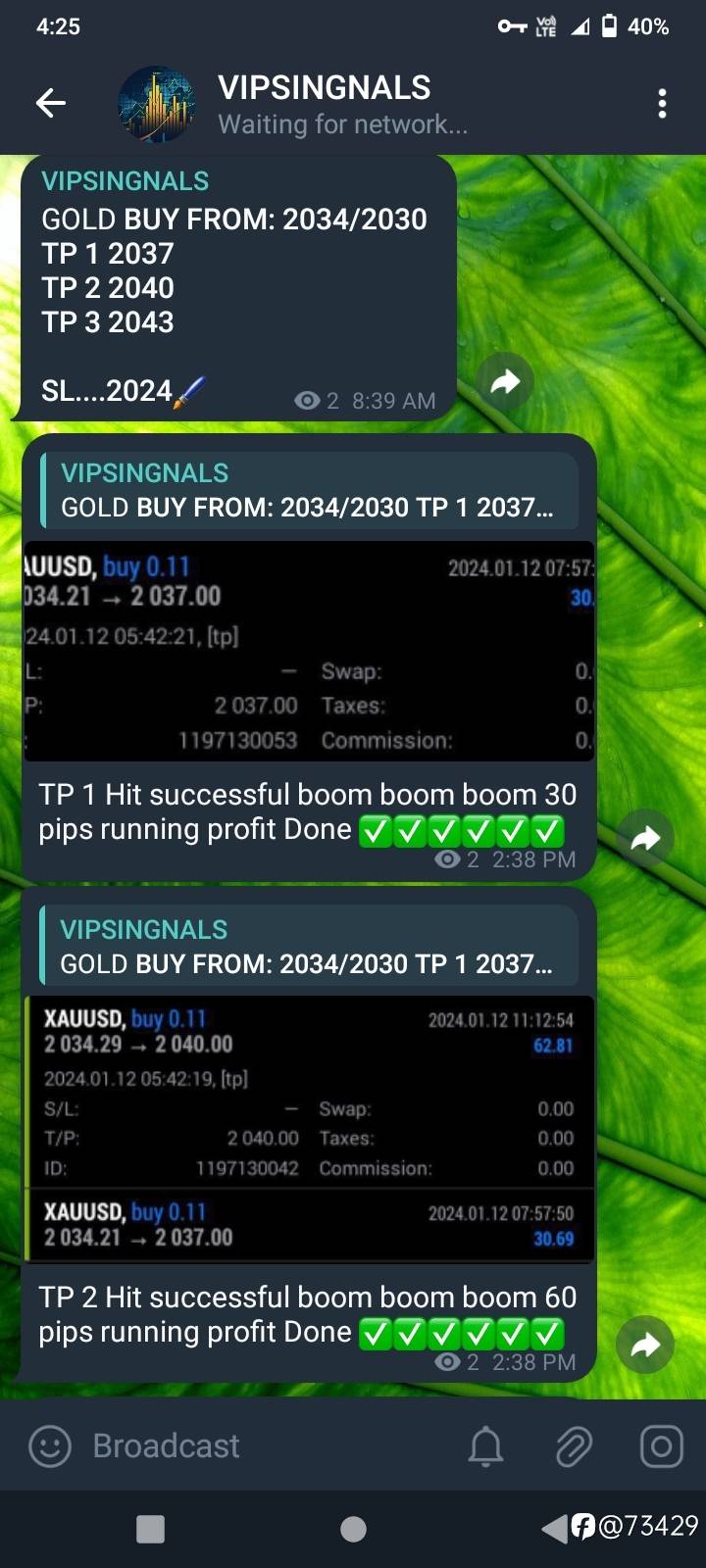 feed-image-1