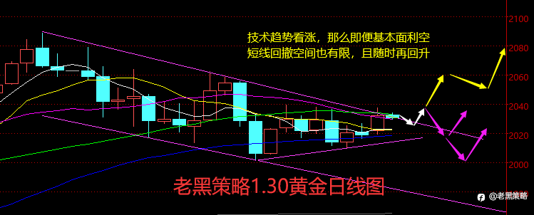 老黑策略：1.30外汇、黄金、原油分析策略