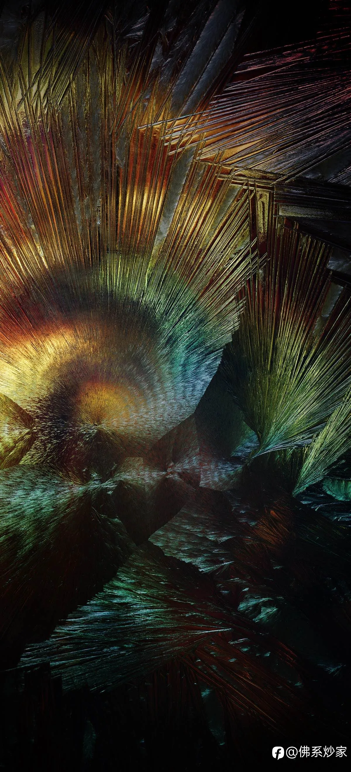 feed image