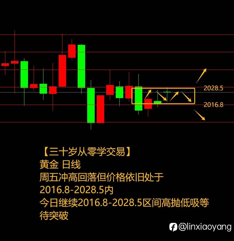 黄金震荡＆送经验+168%（三十岁从零学交易，3千赚100万有多难？）