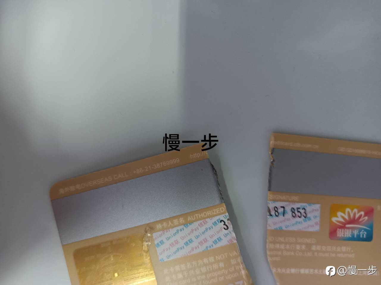 feed-image-1