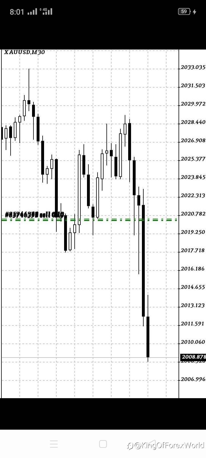 feed-image-1
