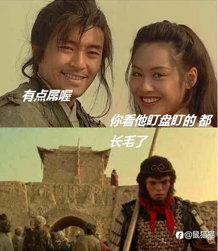 我不是鼠神之苟出個未來