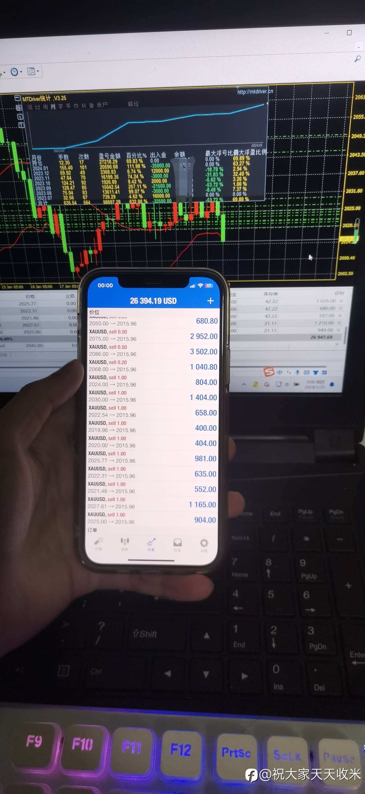 feed-image-1
