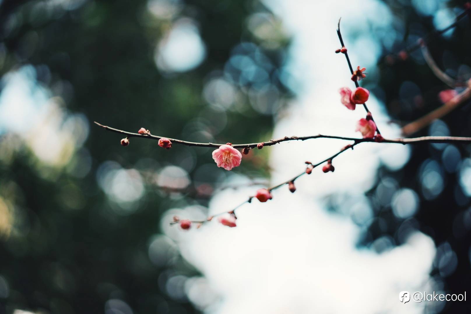 周末扫街