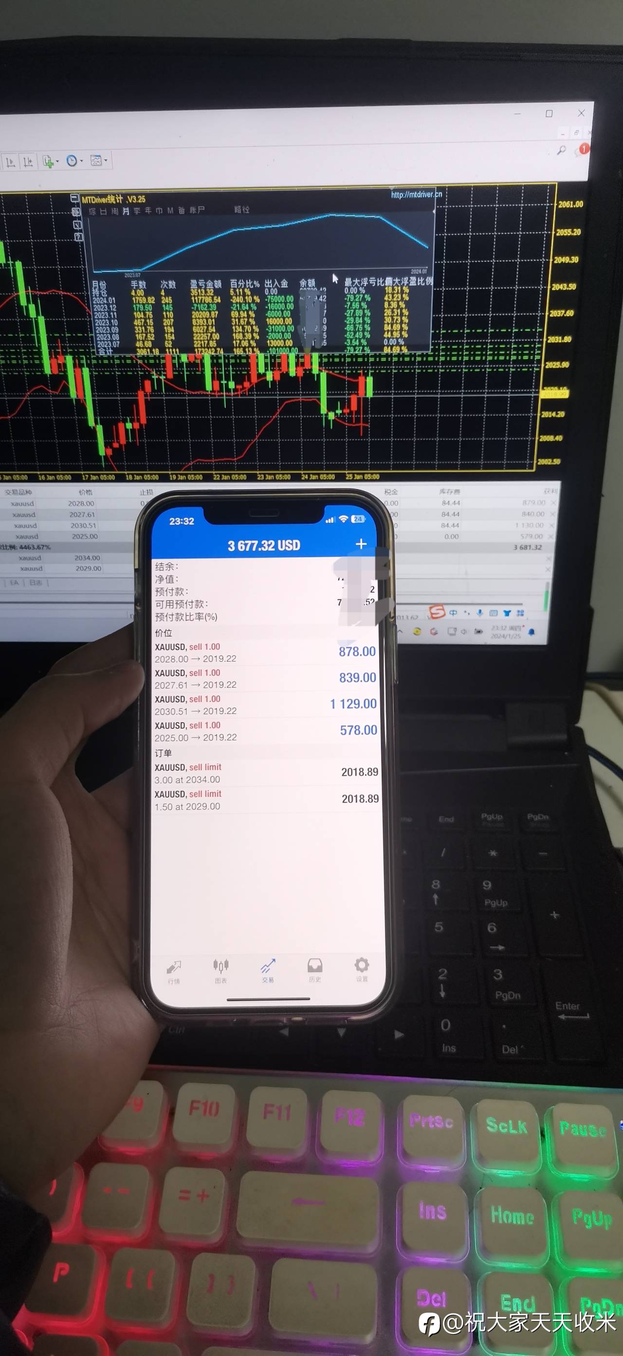 feed-image-1