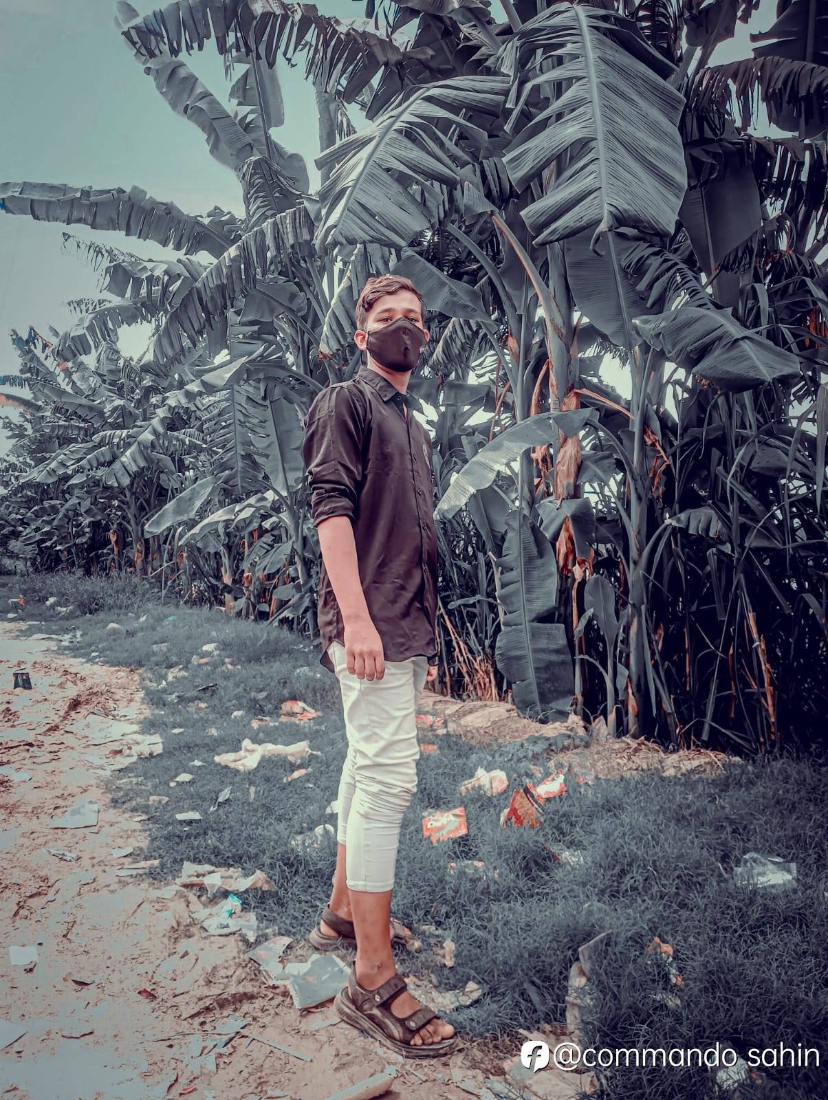 feed-image-0