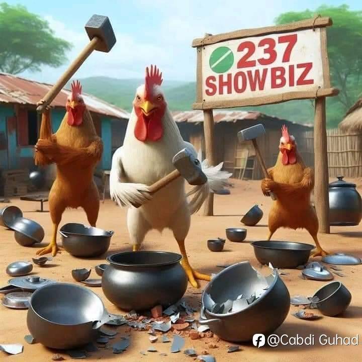 feed image