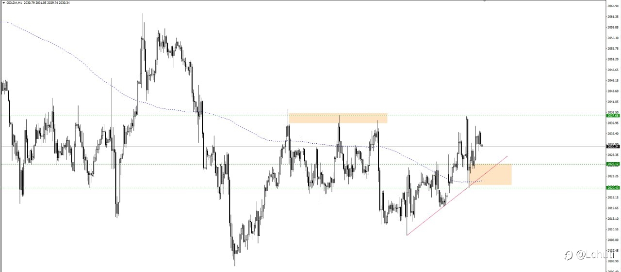 GOLD 30/1/24