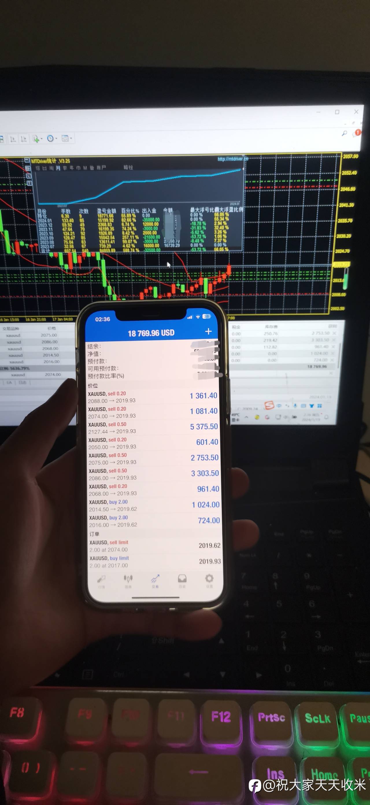 feed-image-1