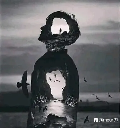 feed image