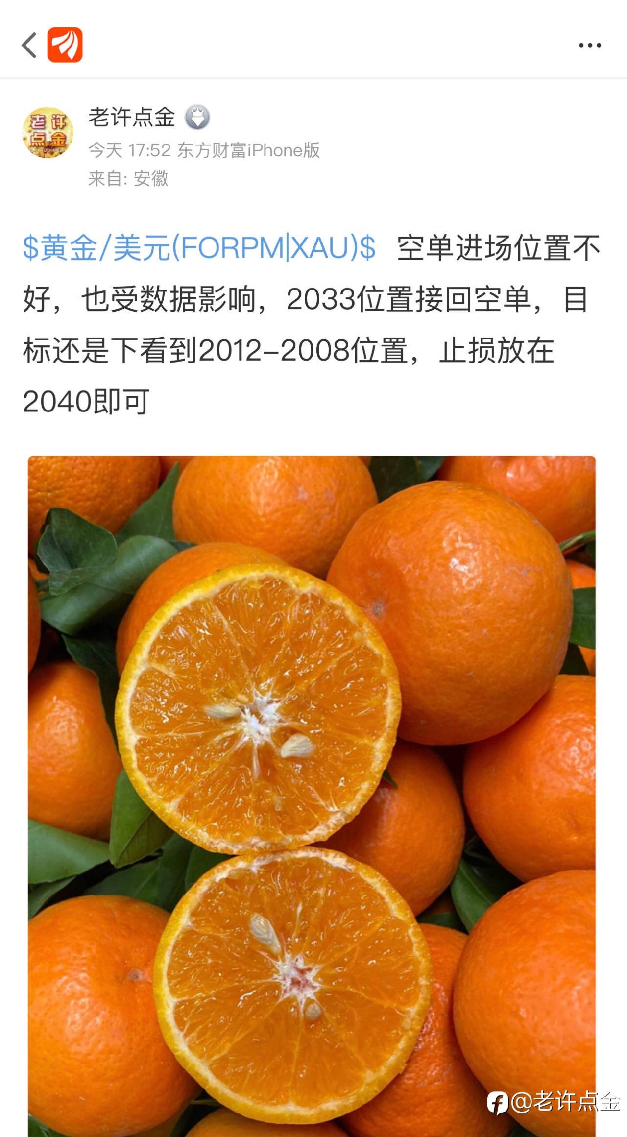 feed-image-0
