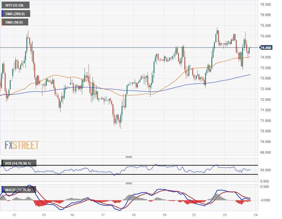 Crude Oil circles between key levels amidst market churn, WTI cycles around $74.50