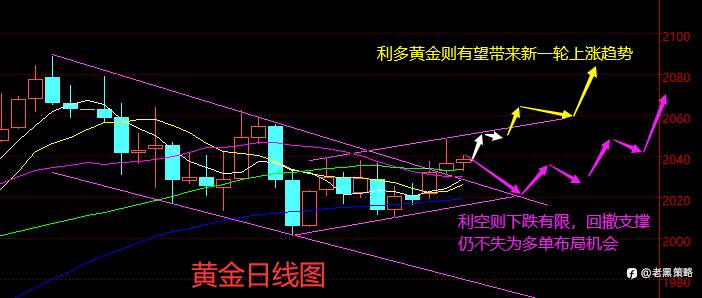 老黑策略：1.31晚盘外汇、黄金、原油分析策略