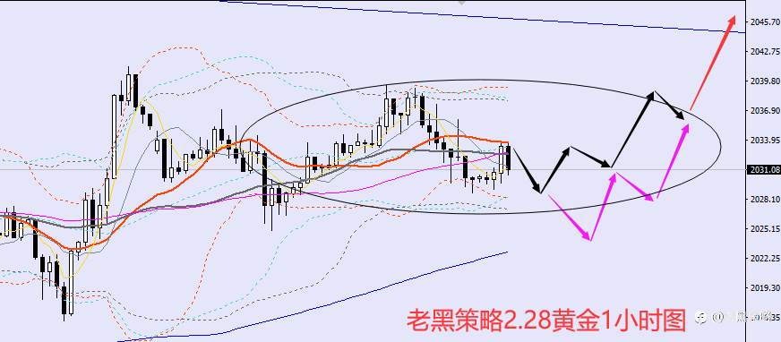 老黑策略:2.28外汇、黄金、原油分析策略