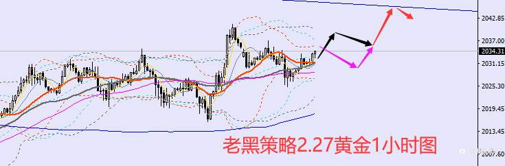 老黑策略:2.27外汇、黄金、原油分析策略